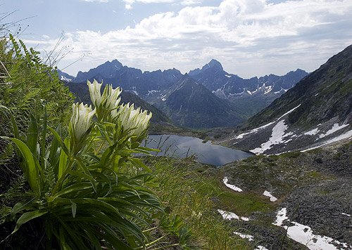 Image result for Баргузинский заповедник